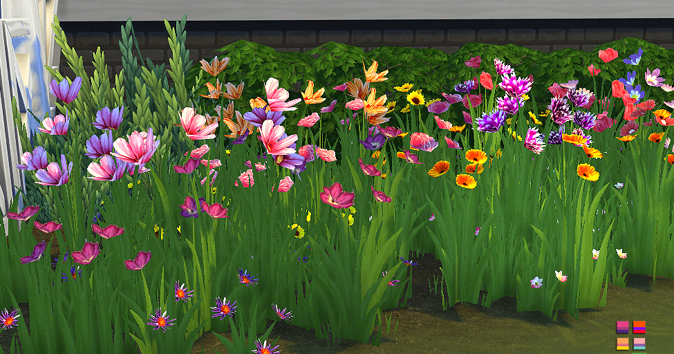 NyGirl Sims 4 Wildflower Assortment