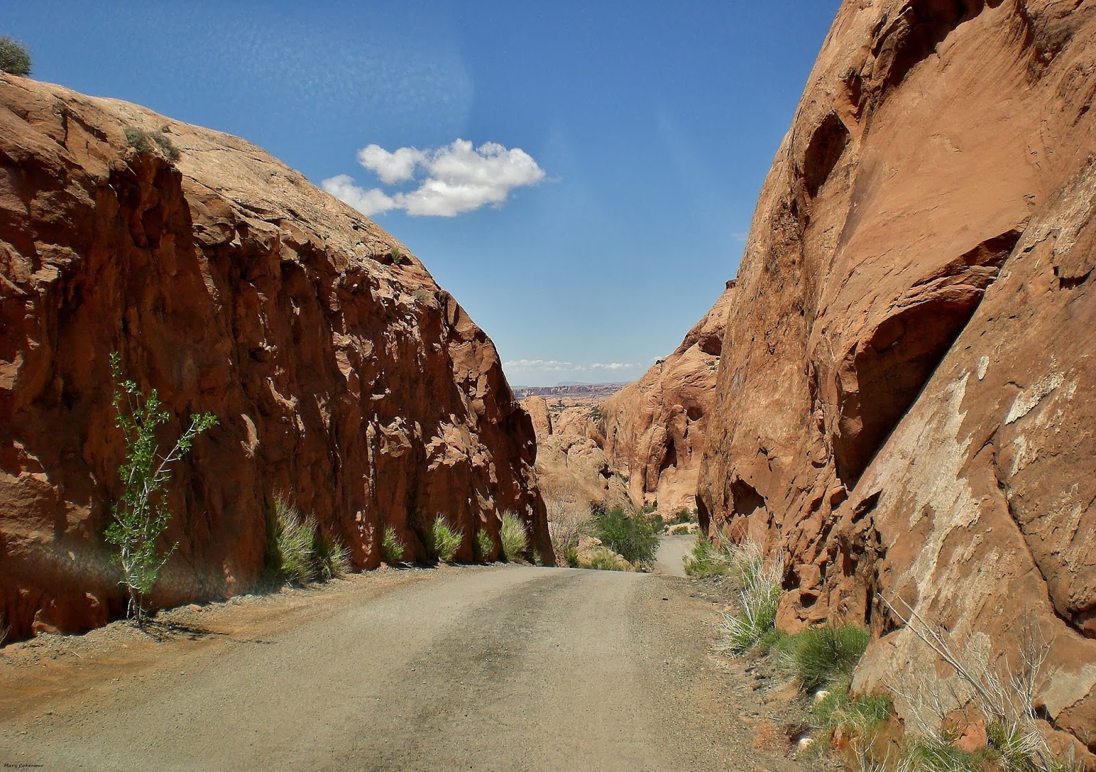 The Southwest Through Wide Brown Eyes Only Thing Flat in Sand Flats is