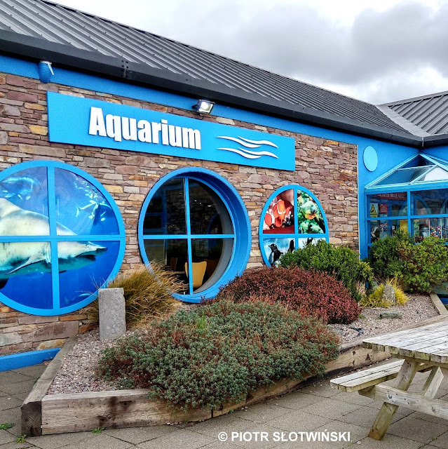 Dingle Oceanworld Aquarium