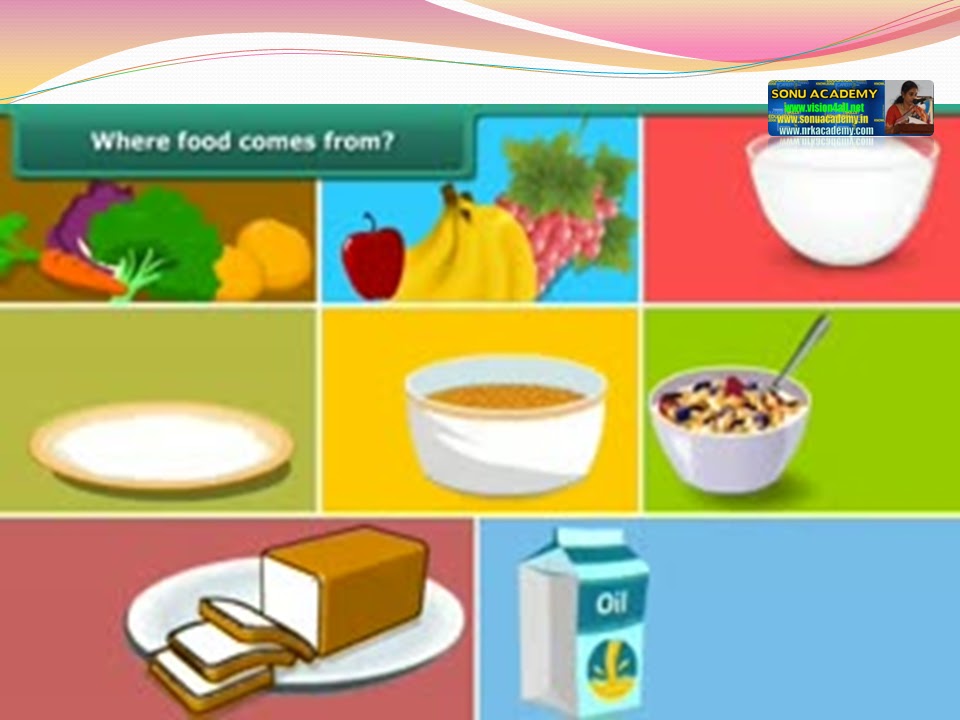 SONU ACADEMY COMPONENTS OF FOODTEXT