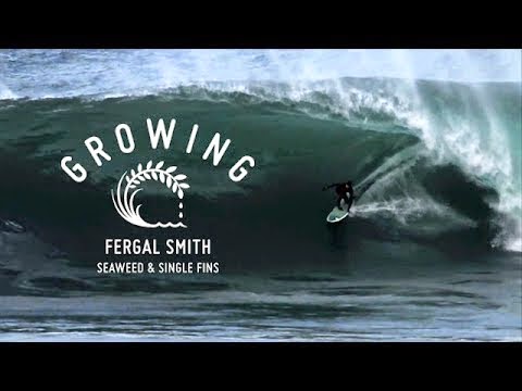 Fergal Smith - Growing Seaweed Single Fins - Episode 7