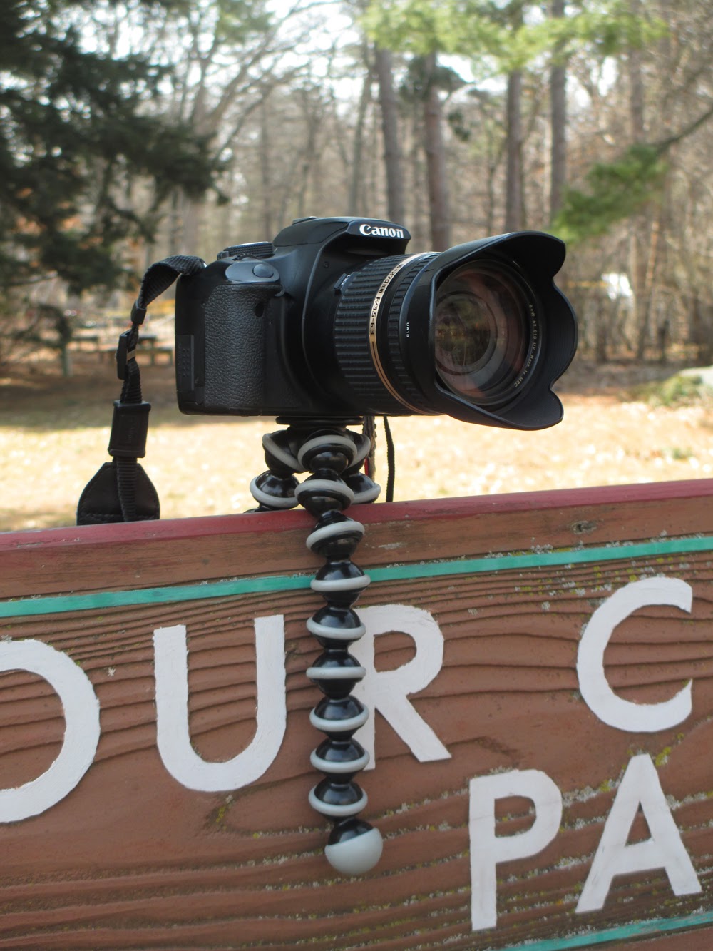 Joby GorilladPod Tripod Review | Boost Your Photography