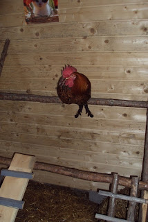 eroottinen lesbo vietellä