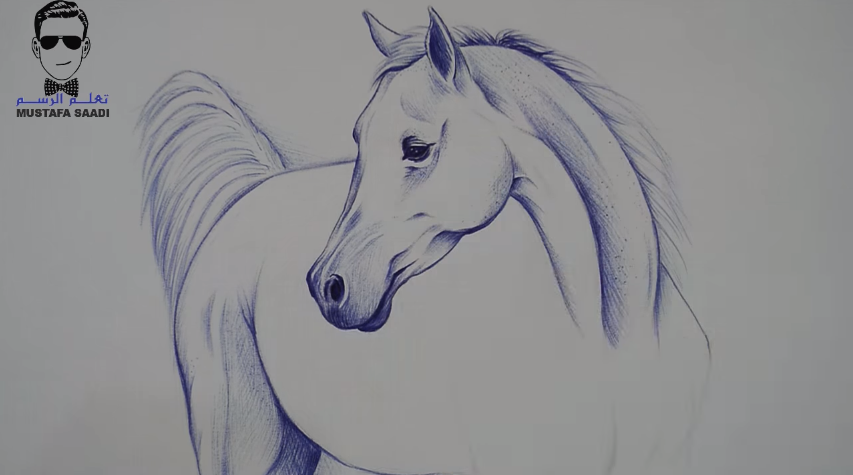 تعلم كيفية رسم حصان بالقلم الجاف الحبر مع الخطوات للمبتدئين تعلم الرسم