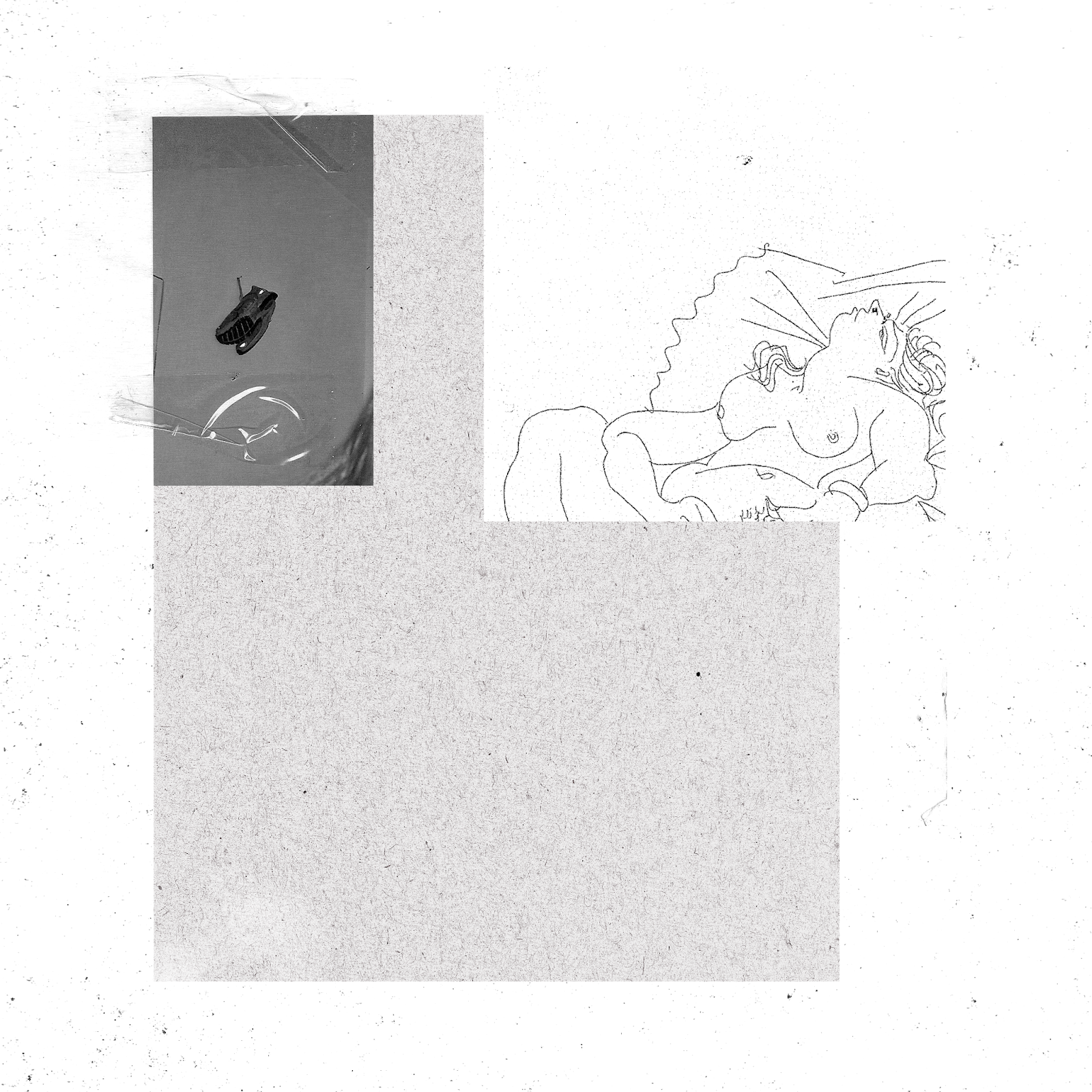 Kaninchenbauklänge Geheimtipp Ungemach