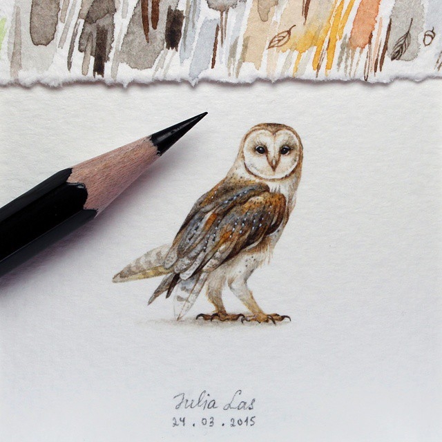 01-Barn-Owl-Julia-Las-Tiny-Animal-Watercolor-Paintings-and-Other-Miniatures-www-designstack-co