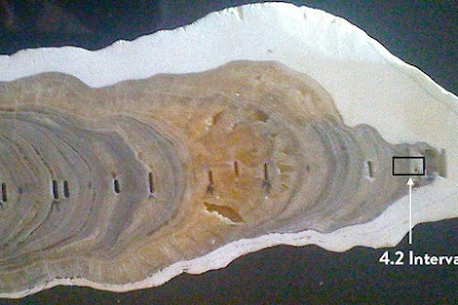 The Meghalayan era:  New geological era has been invented