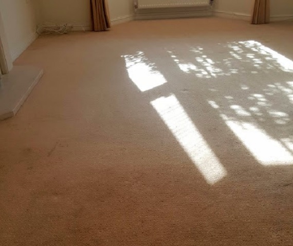 Carpets and Rugs