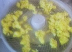 dehydrating eggs, how to make powdered eggs, making your own powdered eggs, preserving eggs, preserving food with dehydration