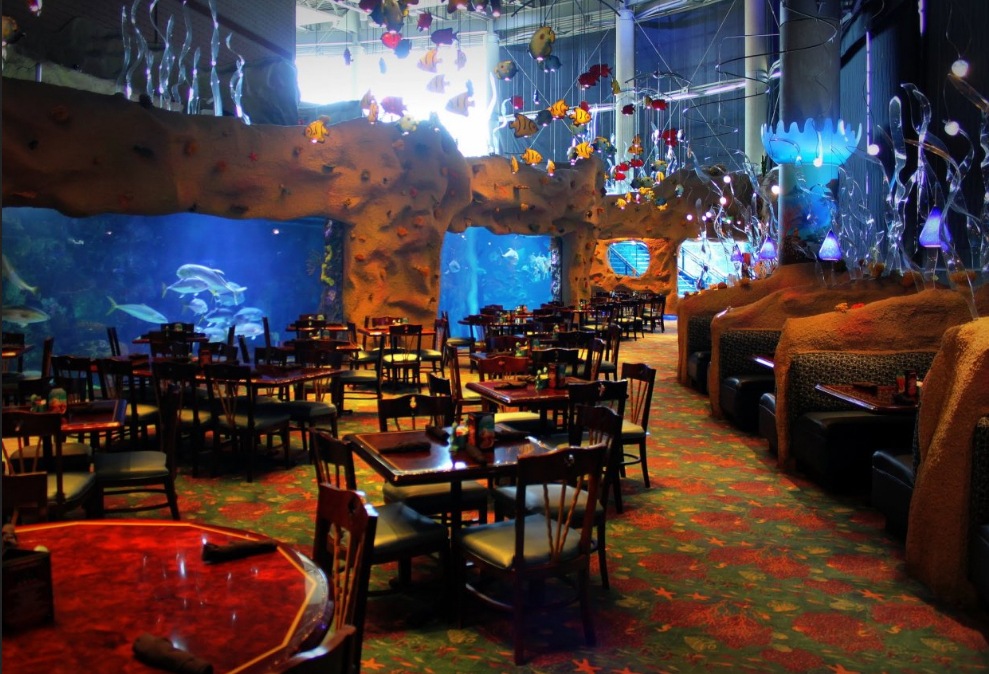 Downtown Aquarium Denver Aquarium Wedding Venue Downtown Aquarium Denver Aquarium Wedding Venue