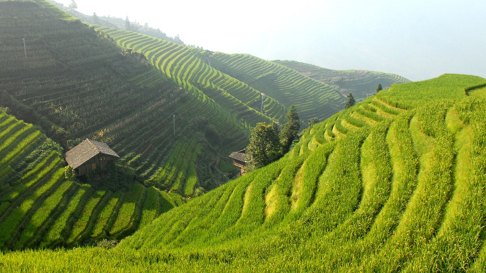 Soil and soil conservation Soil and soil conservation