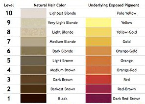 Hair Underlying Pigment Chart