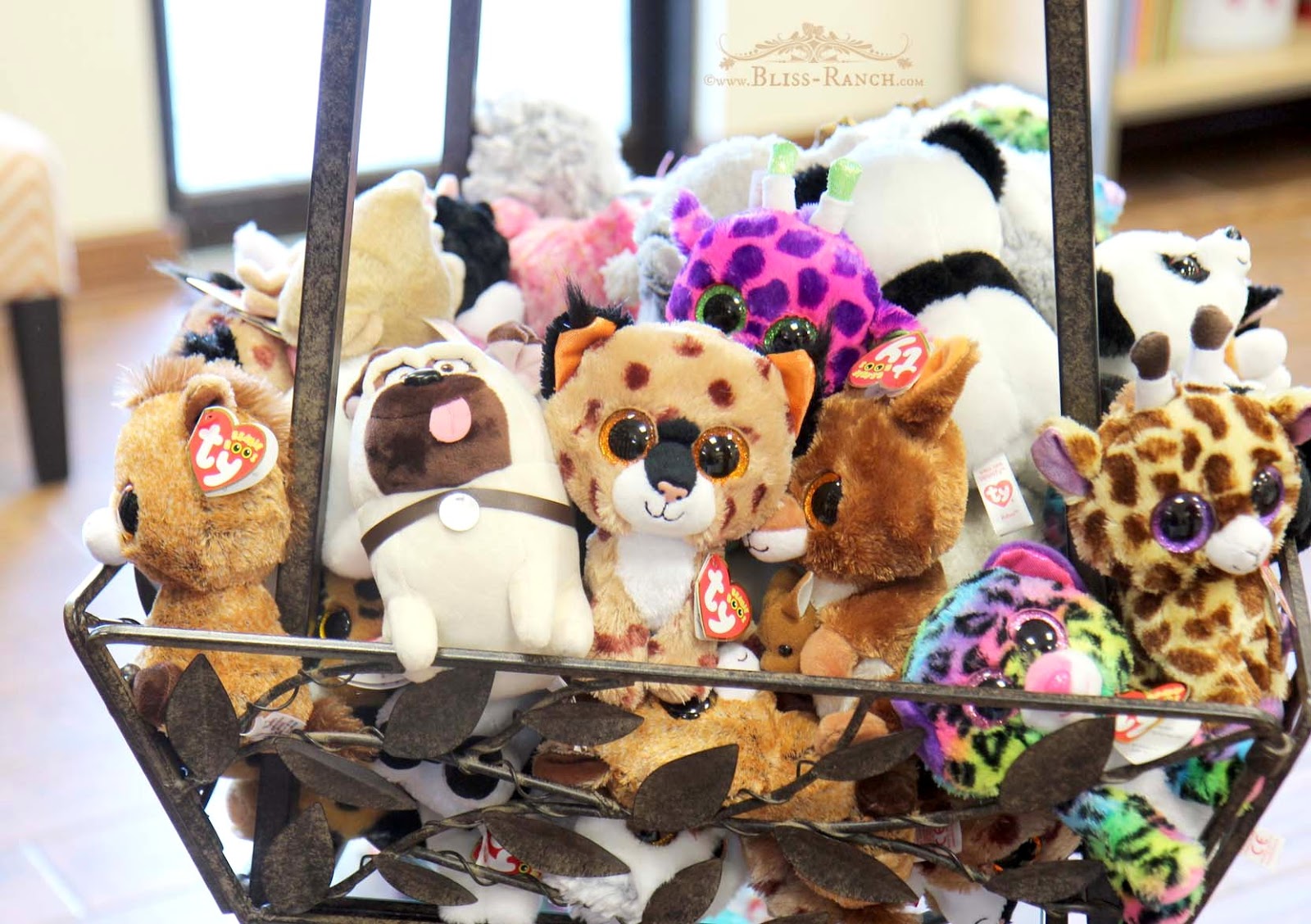 Bliss Ranch PoppedCorn Minnesota