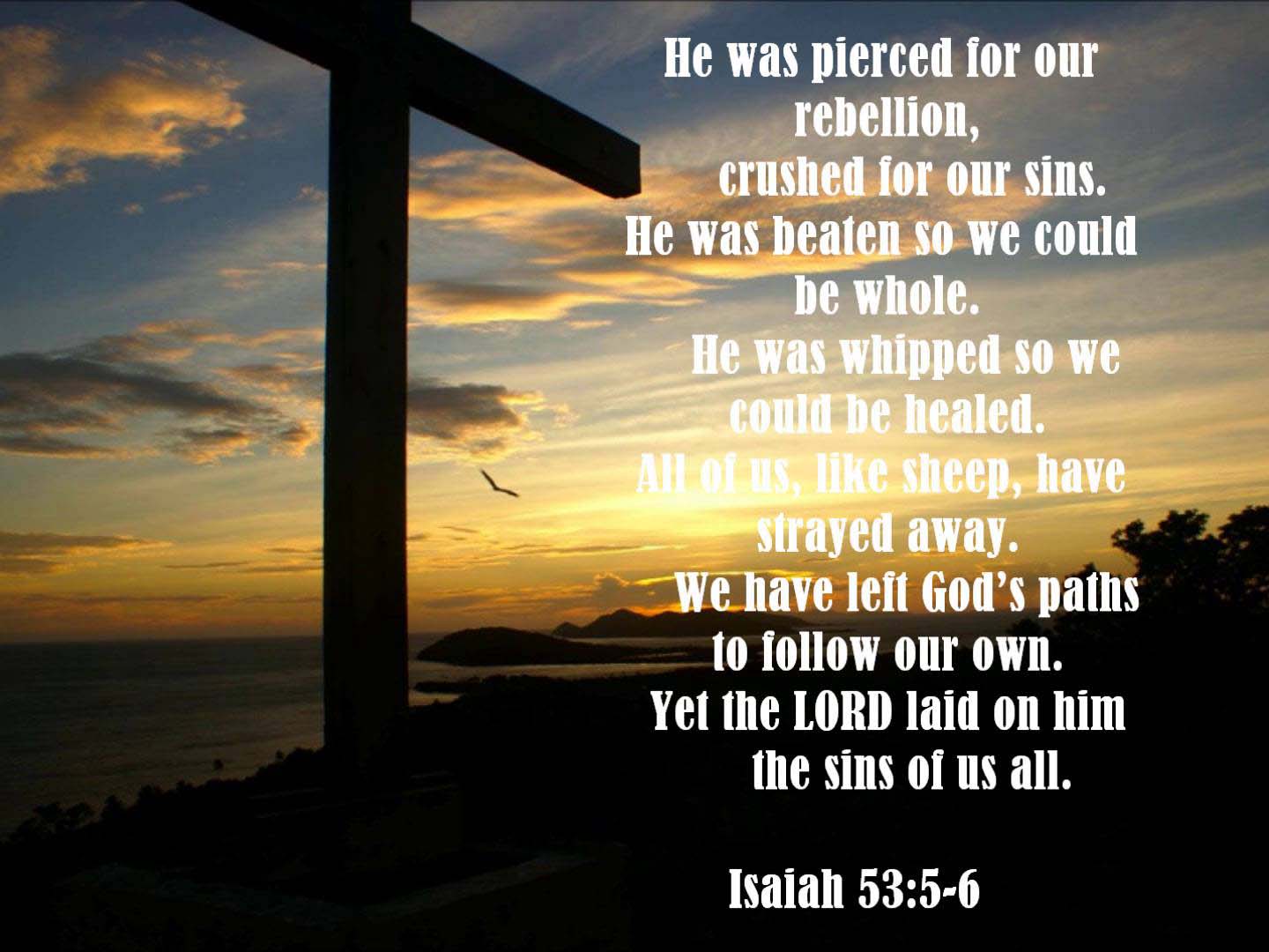 Isaiah 53 6 niv