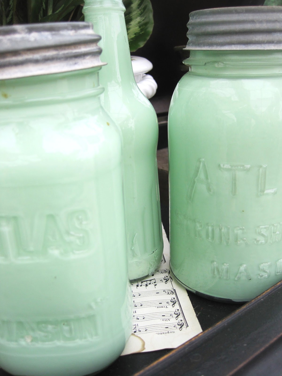 Everlasting Blooms Painting Ball Jars DIY