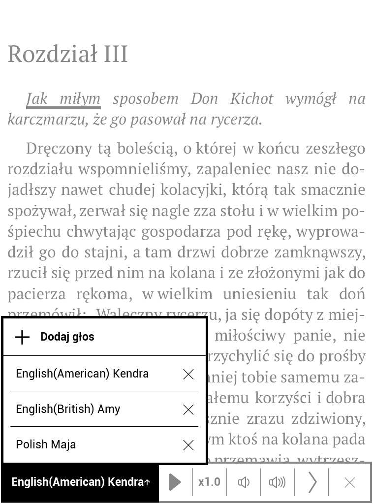 PocketBook Aqua 2 – menu z listą pobranych głosów w usłudze TTS