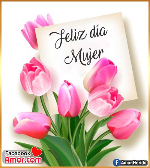 feliz día mujer flores tulipanes feliz día mujer flores tulipanes