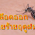 ไข้เลือดออก วายร้ายฤดูฝน อาการไข้เลือดออกจากยุงลาย First Aid for Dengue