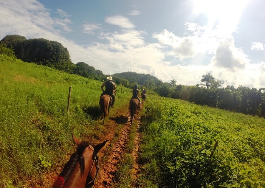 enlacima-de-excursion-a-caballo-por-el-valle-de-vinales-en-cuba