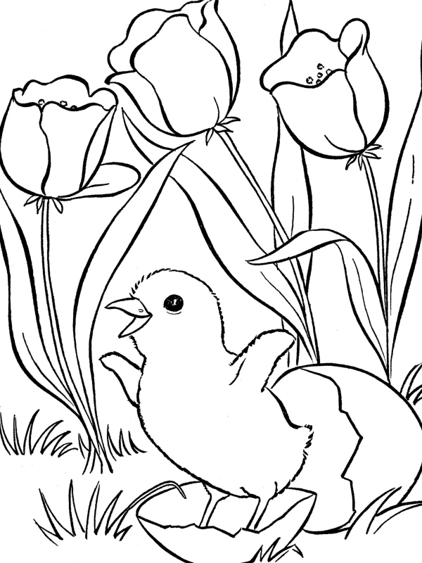 Download March 2012 | Holiday Coloring Pages