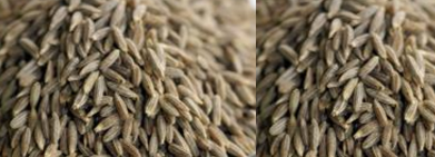 Cumin Seeds / Jeera Helps treating Anaemia Cumin Seeds / Jeera Helps treating Anaemia
