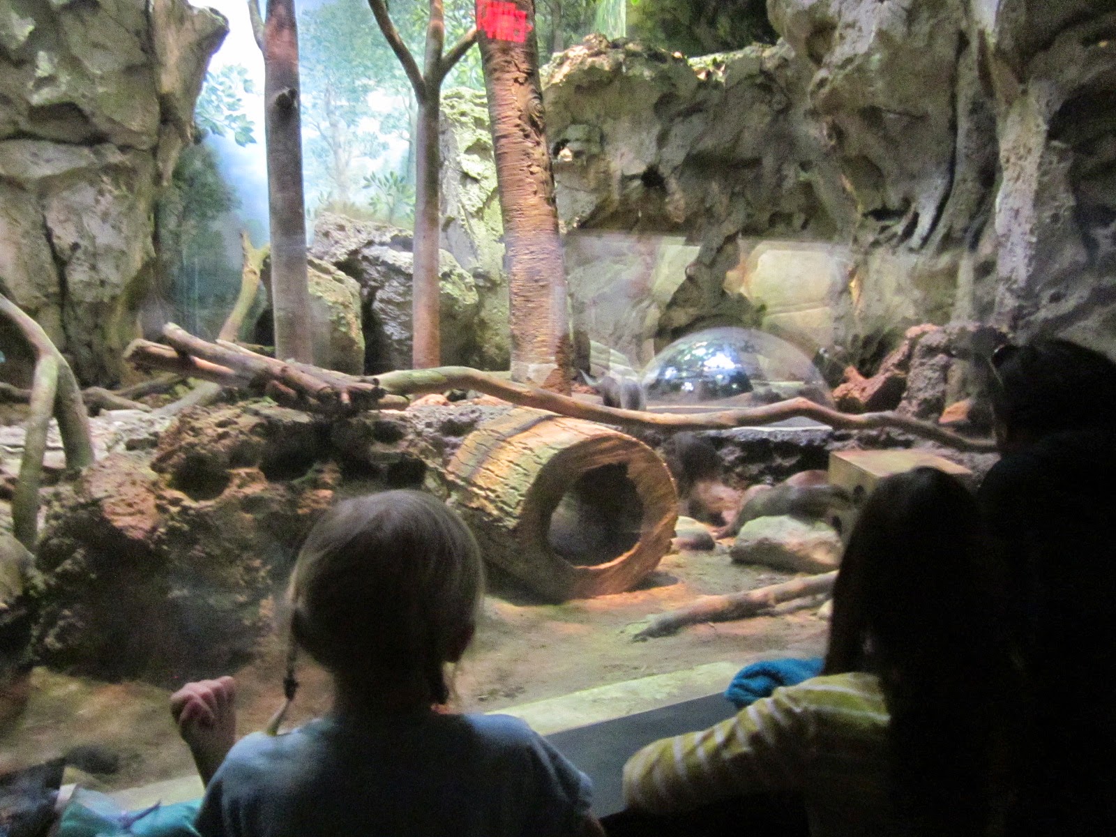Love 2 Travel With Kids Greensboro Science Center Aquarium, Museum