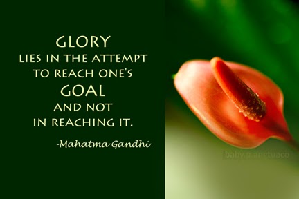 Get Inspired Attempt To Reach Your Goal