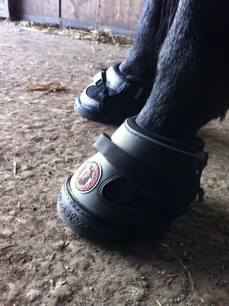 Vom Trabrennpferd zum Freizeitpartner Equine Fusion Jogging Shoes