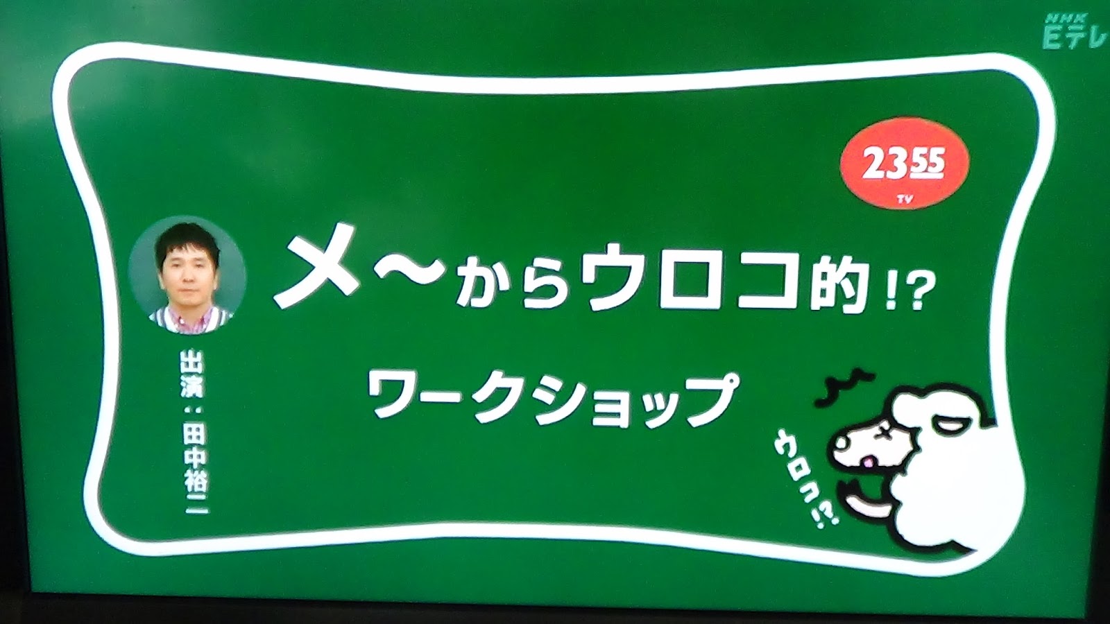 リトルピース動物病院 ブログ