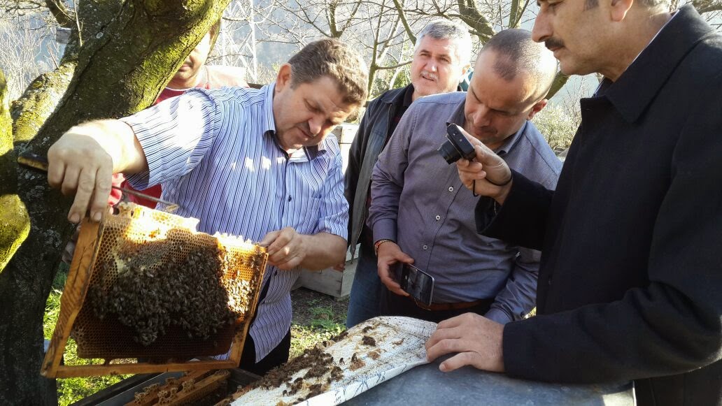 ARICI ALİ TÜRK VE ARICILIK BİLGİLERİ ARICI EFRAİM KORKUT