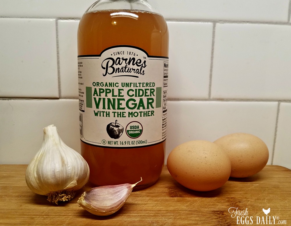 Probiotics, Garlic and Apple Cider Vinegar for Happy, Healthy Chickens