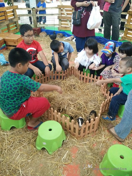 Spend time with kid | KidZania Go | MiniZoo Au | Kidzoona Spend time with kid | KidZania Go | MiniZoo Au | Kidzoona