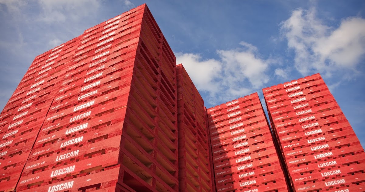 Loscam The Importance of Pallets in Logistics
