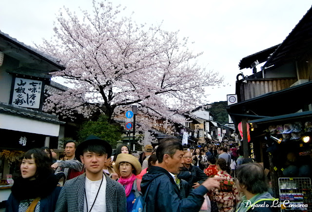 Día 12 - Kyoto (Ginkakuji - Palacio Imperial - Kiyomizu - Gion) - Japón primavera 2016 - 18 días (con bajo presupuesto) (22)