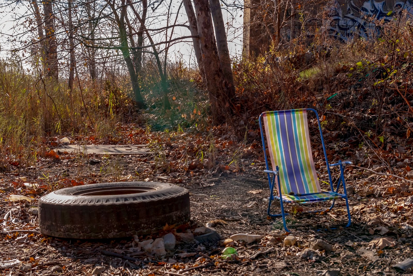 New Savanna A Tire A Chair Graffiti In The Background Upper Right Behind The Grass