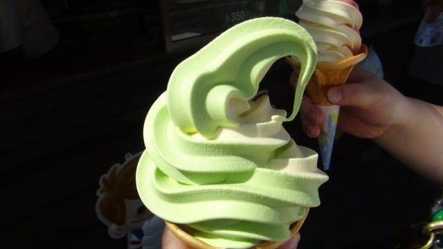 Wasabi Wasabi