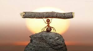 Hard Work Quotes In Hindi Hard Work Quotes In Hindi