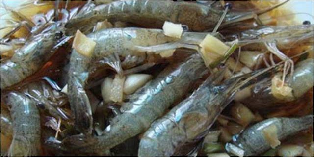 Hewan Dimakan Mentah