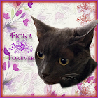 Fiona Forever