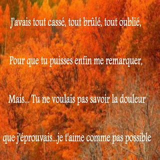 les plus beaux poemes d amour