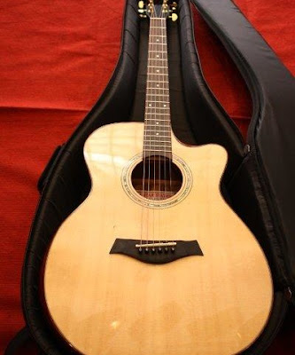 Bán đàn Guitar Acoustic W10 giá 3 triệu 2