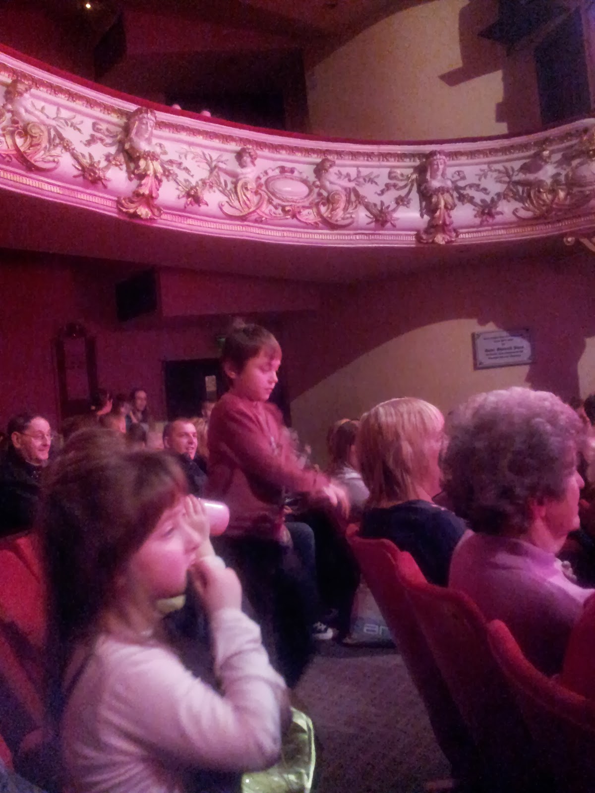 , Country Kids in the City for Swansea Panto!