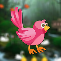 AVM Rescue Little Bird Game