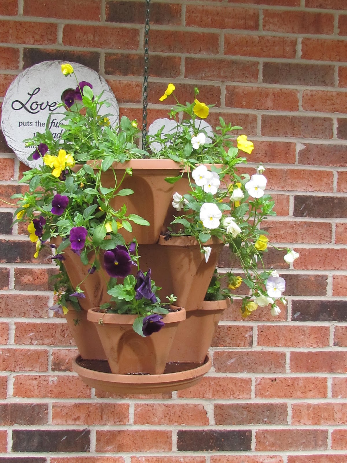 Gardening with Juanita Pots of Pansies