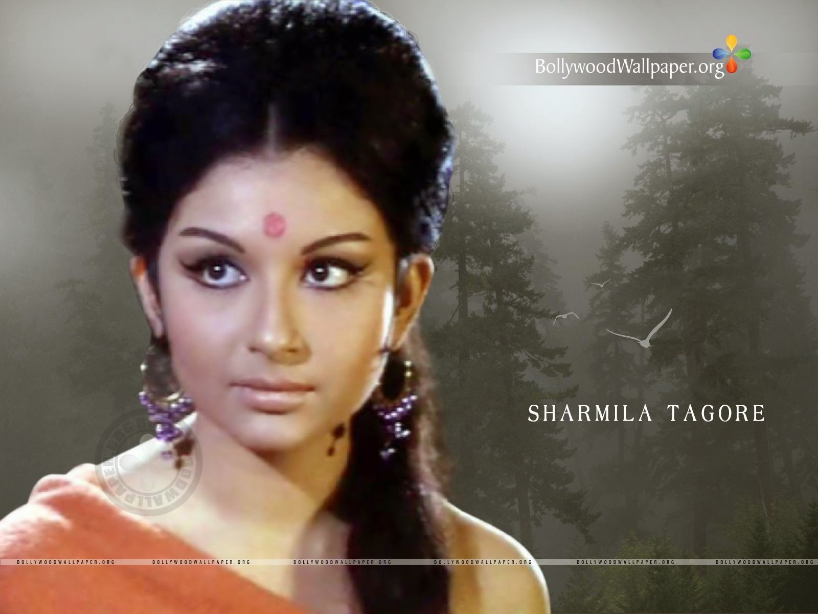 Sharmila Tagore HD Wallpaper - HD wallpapers