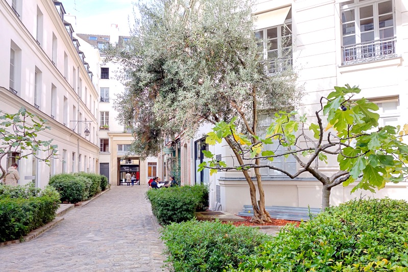 Paris Passage Dauphine, échappée verdoyante à SaintGermaindesPrés
