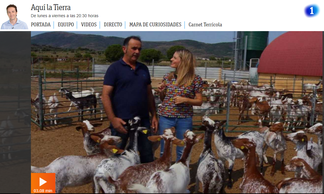 Algeciras conocer a gente Algeciras conocer a gente