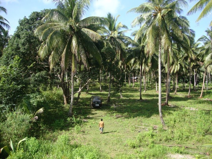 How to sell agricultural land in the philippines ️ Updated 2022