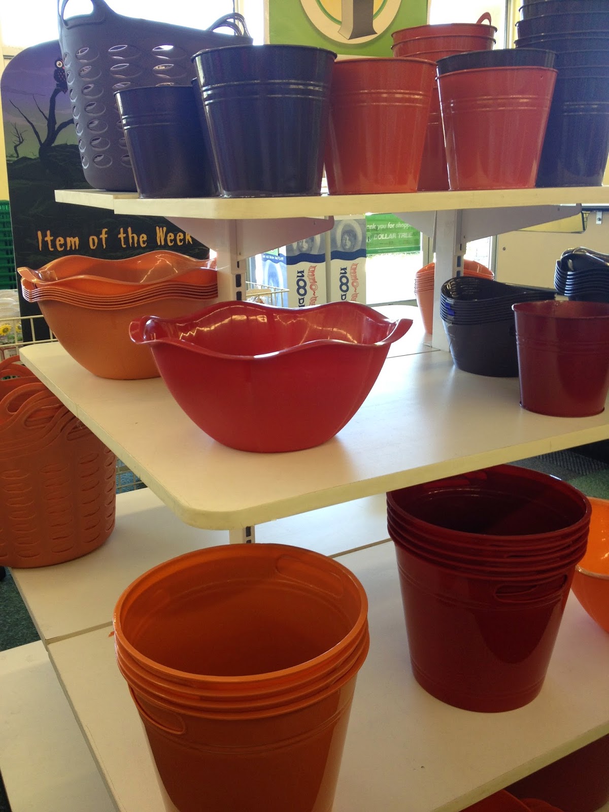 Dolla Holla Tree! Dollar Tree Finds 9/10/14