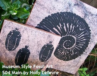 DIY Museum Style Fossil Art